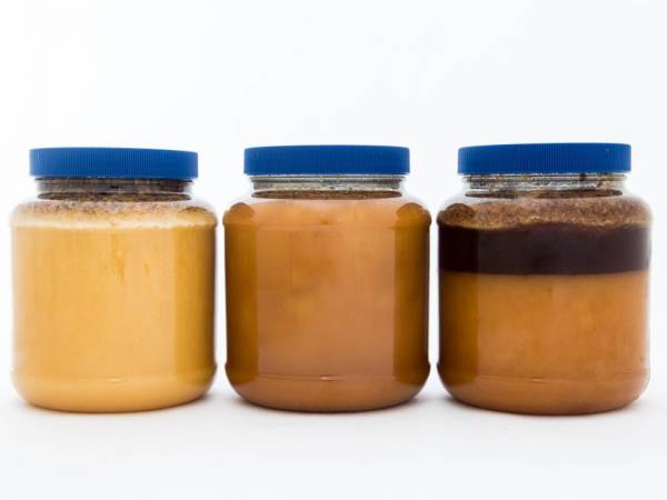 5 lb. Plastic Jar of Fermented Really Raw Honey