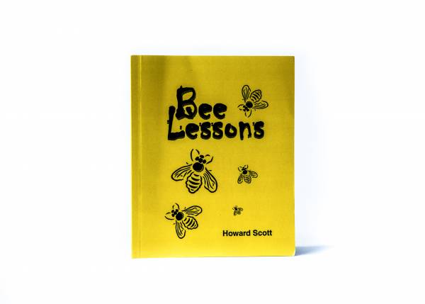 bee lessons book